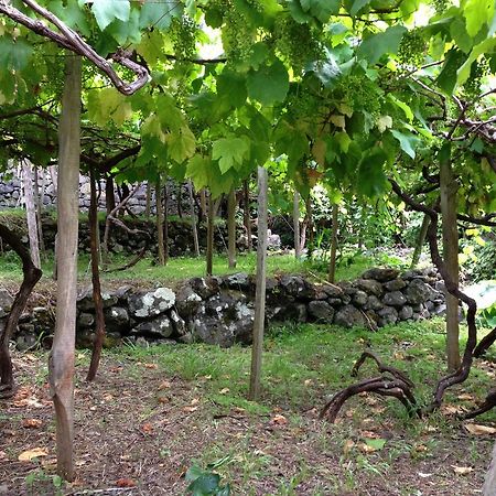 Holidays Madeira เซาวิเซนเจ ภายนอก รูปภาพ